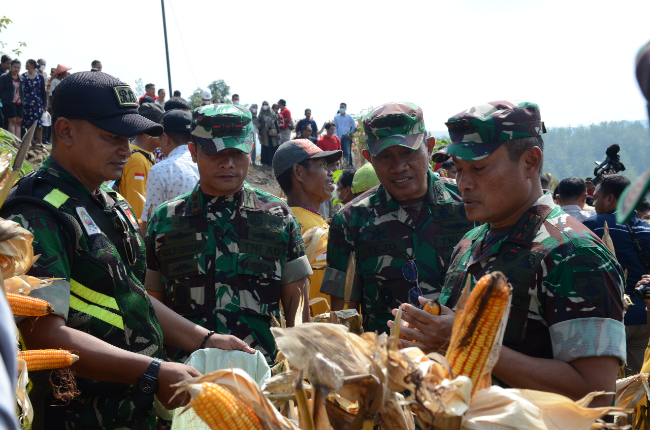 Pananaman Jagung Dalam Rangka Diversifikasi Lahan, Guna Mendukung Ketahanan Pangan